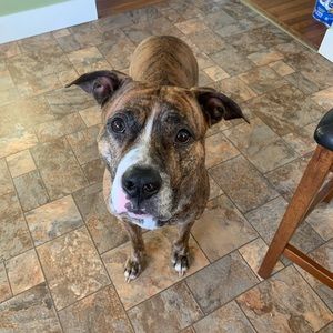 Meet your Posher, Keri